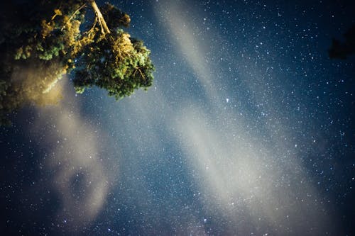 Ücretsiz astronomi, dallar, dar açılı çekim içeren Ücretsiz stok fotoğraf Stok Fotoğraflar