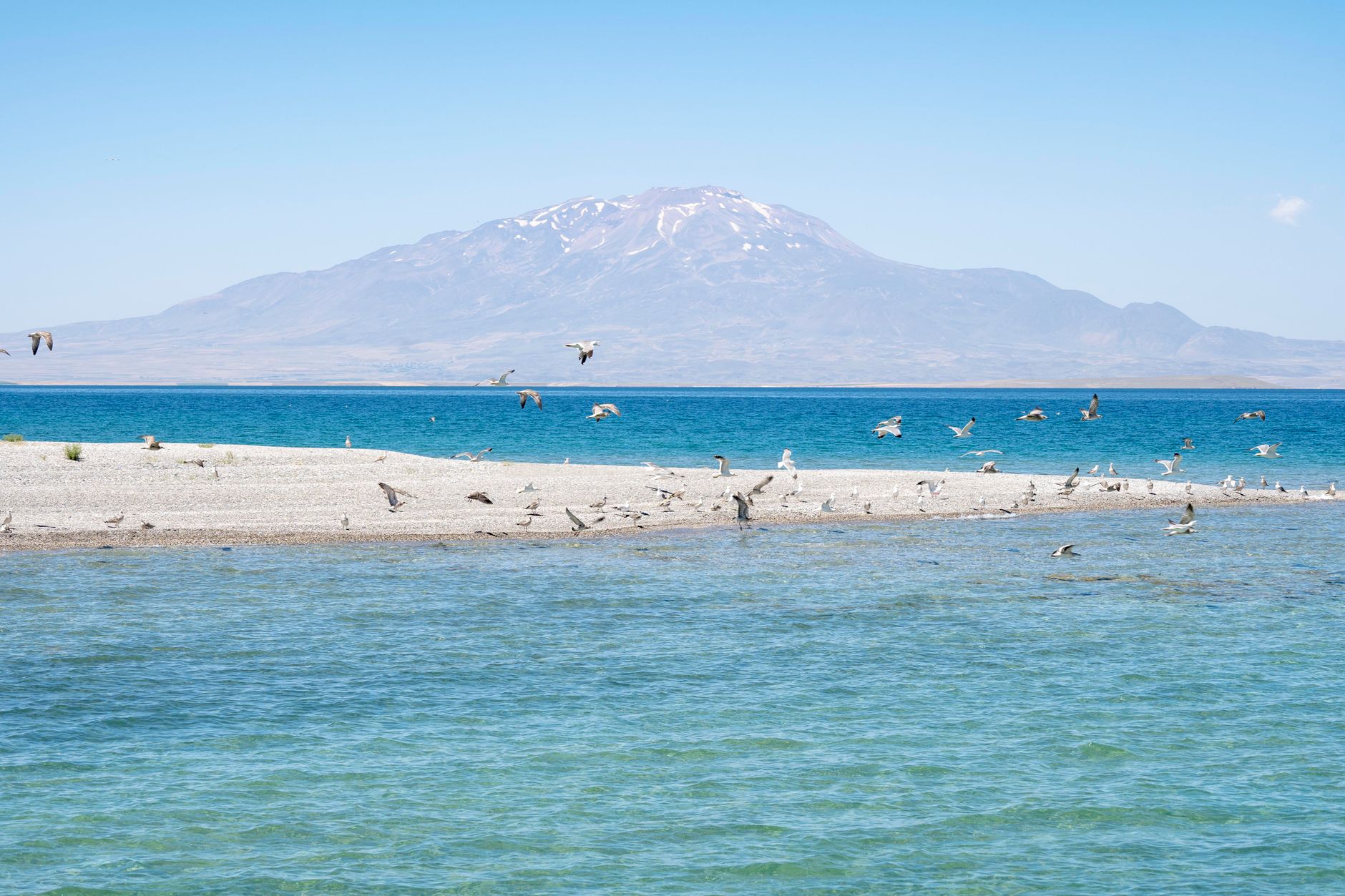 Stunning view of Lake Van, Türkiye, with a flock of birds and a distant mountain backdrop.