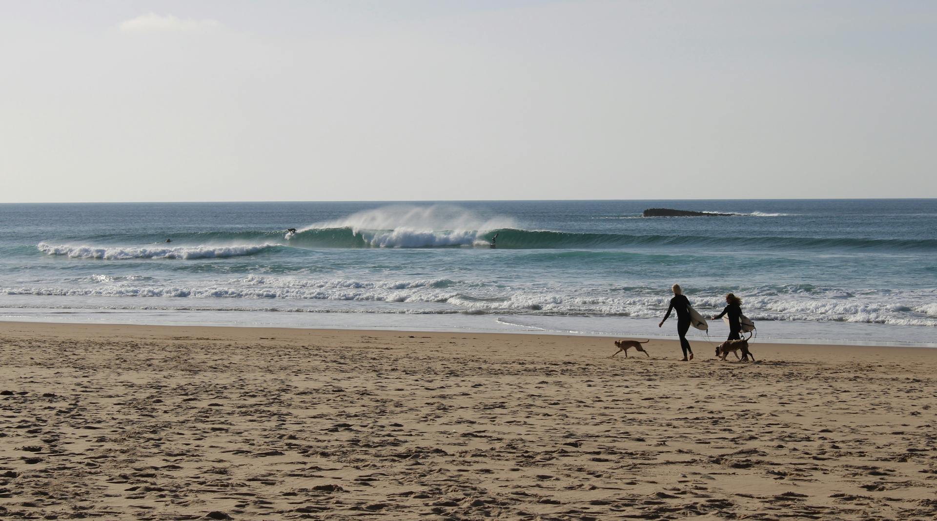 A Couple with Dog Walking on the Beach