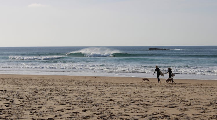 A Couple With Dog Walking On The Beach