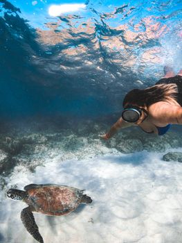 A woman snorkeling near a sea turtle in clear blue ocean waters. Captured underwater.