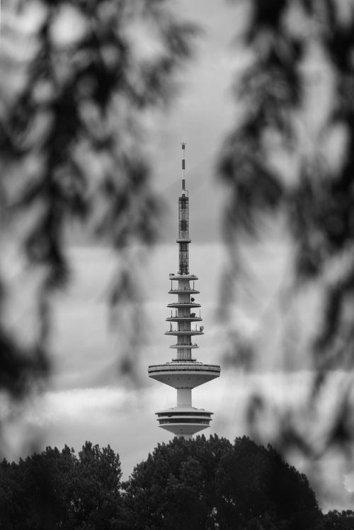 Free Black and white photo of Hamburg's iconic Heinrich-Hertz Tower framed by foliage. Stock Photo