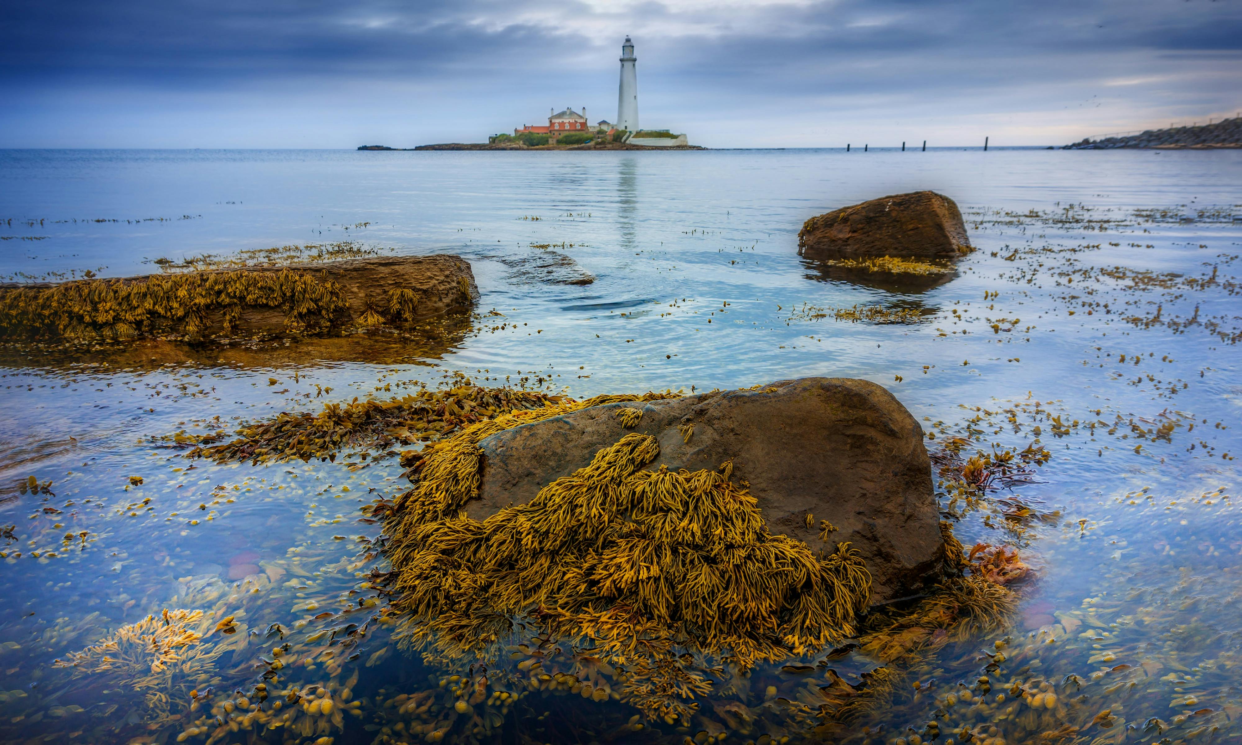 Rose Island Lighthouse trust launches executive director search ahead of milestone 2026 season — Photo by Ray Bilcliff on Pex