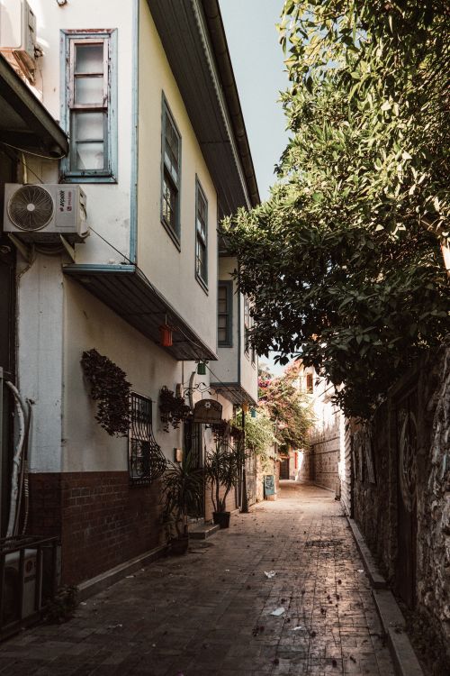 Free Explore a quaint alleyway bordered by historic buildings and greenery. Stock Photo