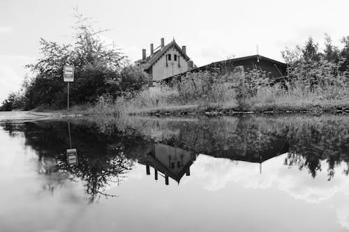 Free stock photo of reflection