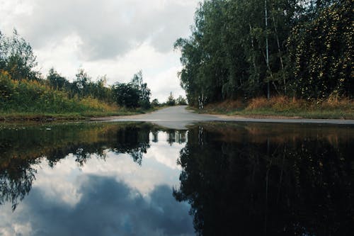 Free stock photo of reflection