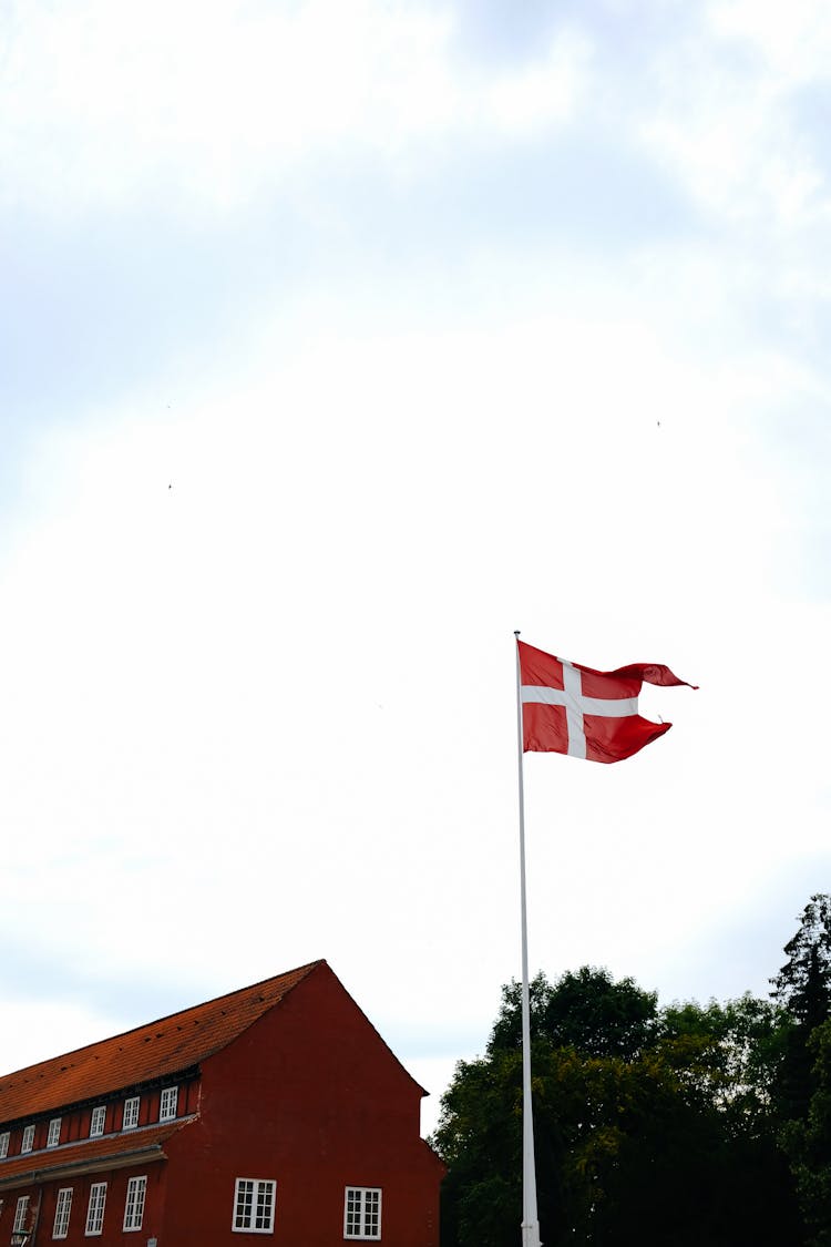 The Flag Of Denmark 