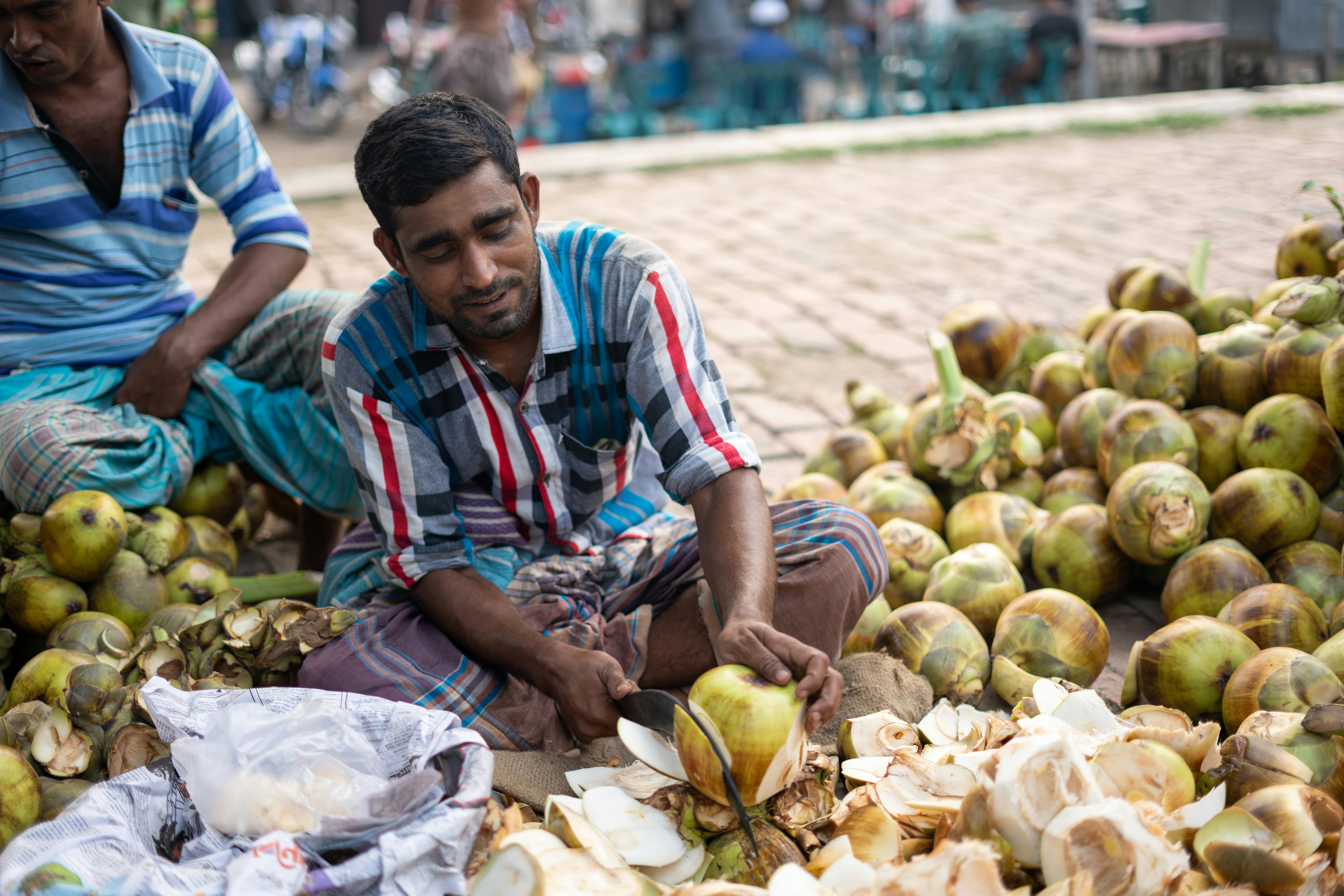 The palm seller has reached the market palmyra palm · Free Stock Photo