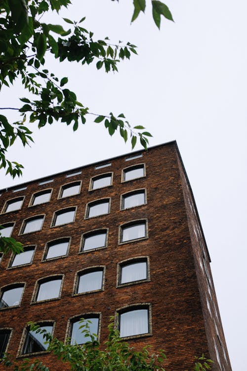 Brown Brick Building with Glass Panel Windows
