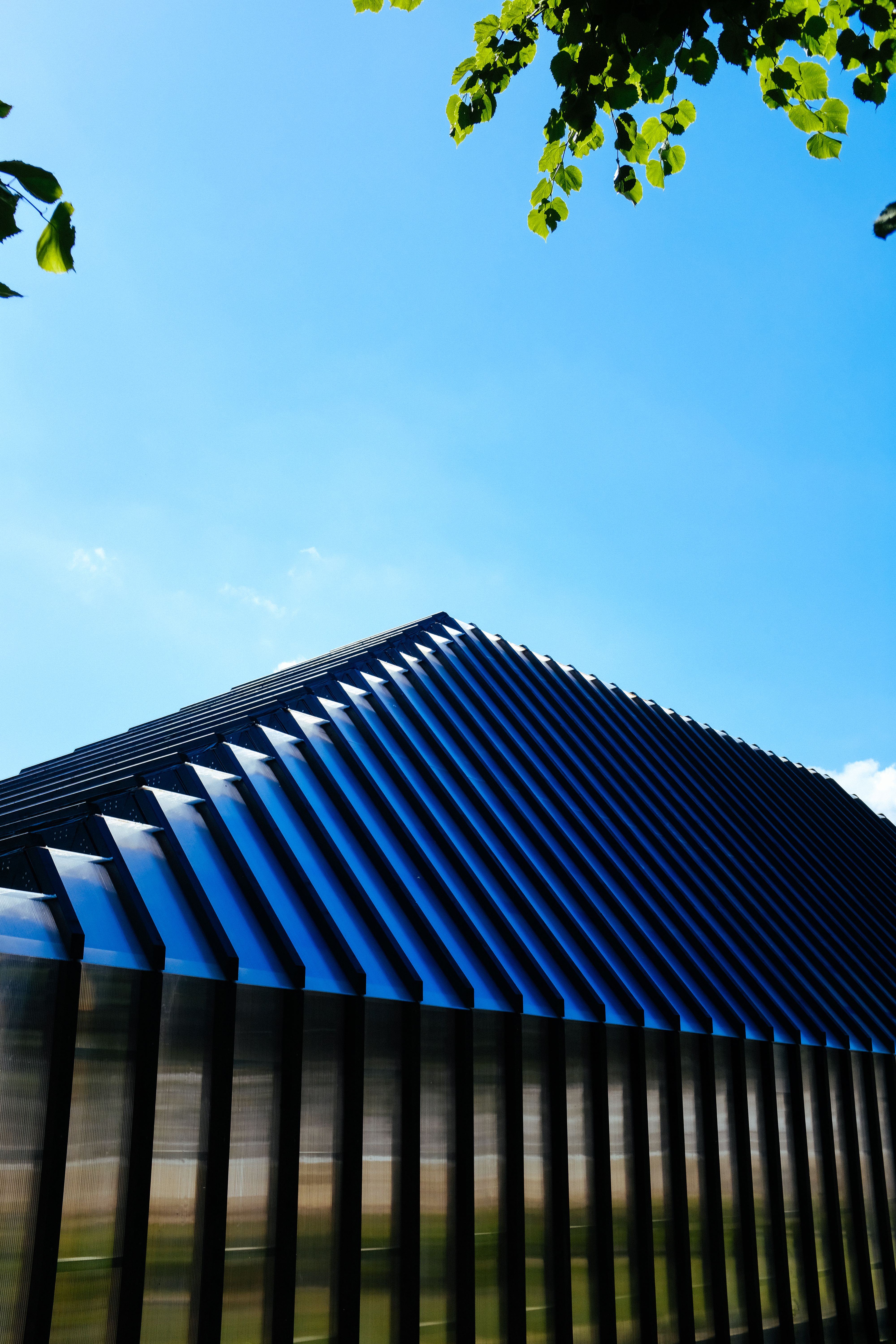 Metal Roof Installation Services in Archer, FL
