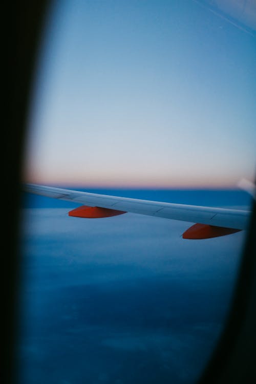 White Airplane Wing