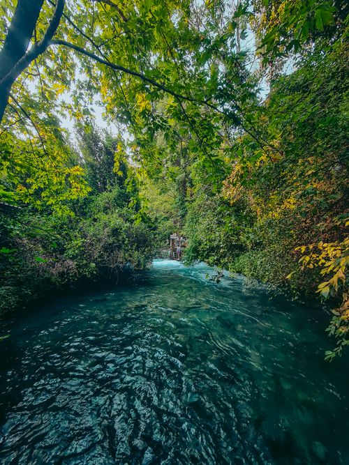 Free A tranquil stream flows through lush greenery, capturing nature's pure essence. Stock Photo