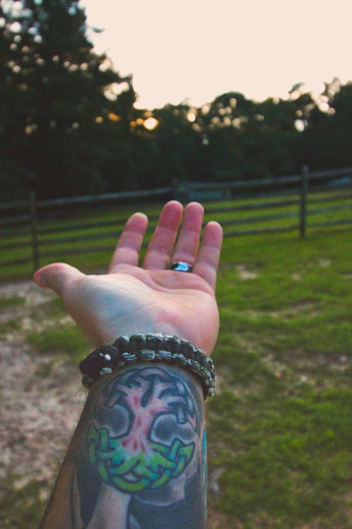 Free Person's Hand Stock Photo