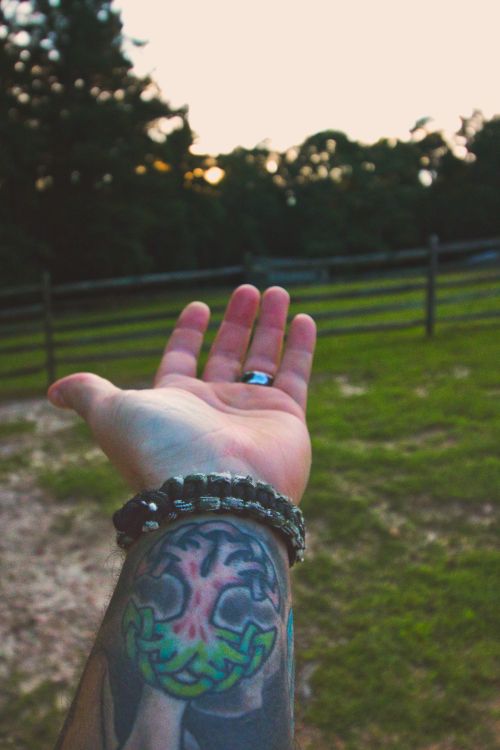 Free Tattooed hand reaching towards a serene outdoor setting at dusk with soft lighting. Stock Photo