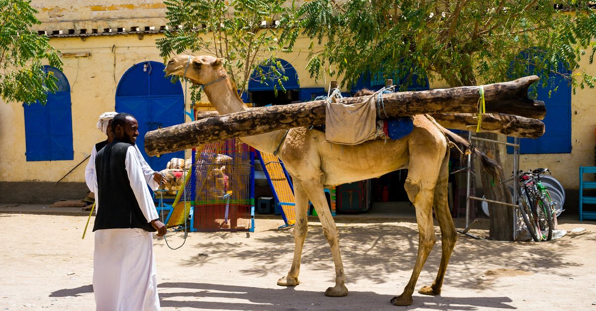 Photo of Eritrea
