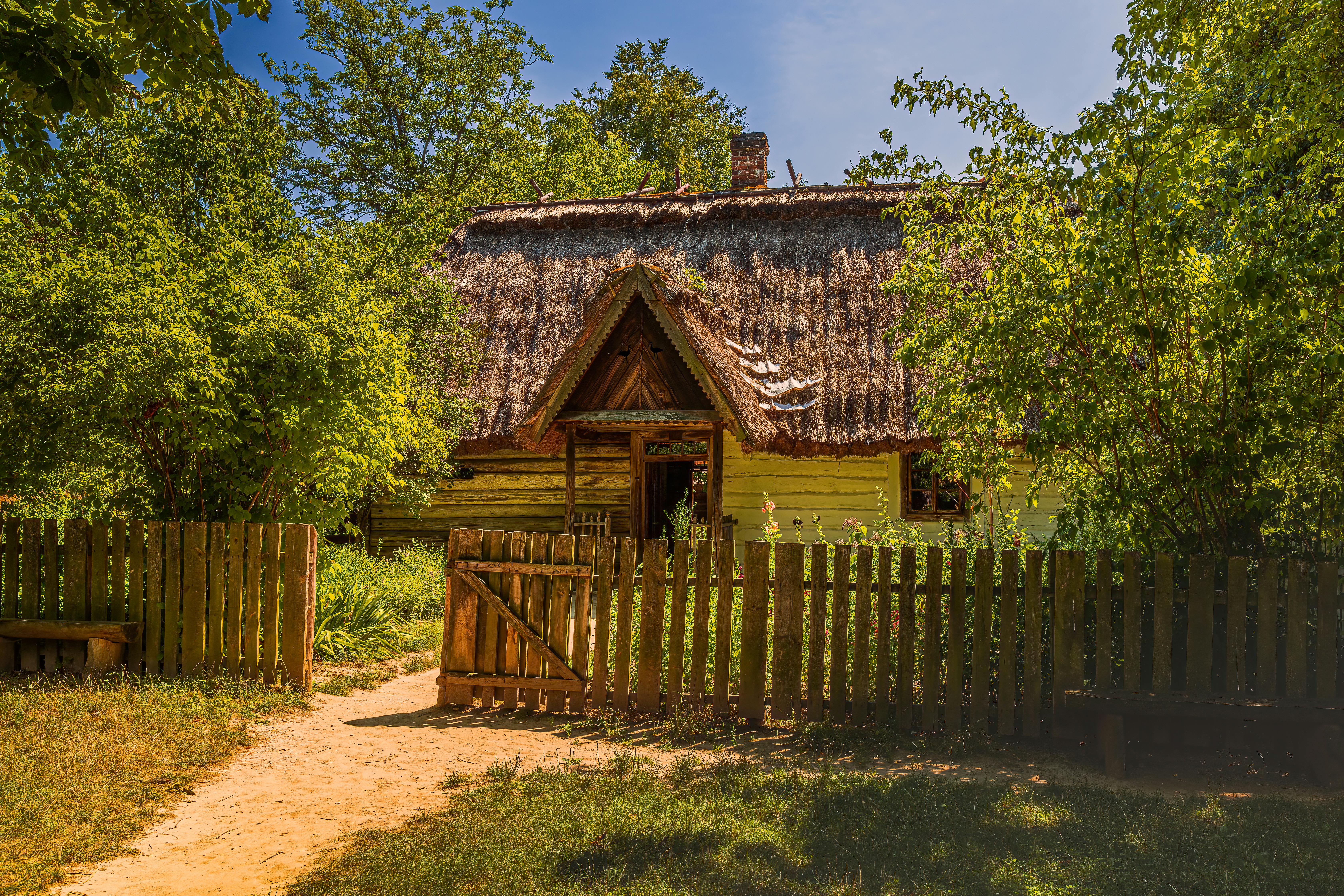 Photos gratuites de arbres verts, architecture traditionnelle, bois