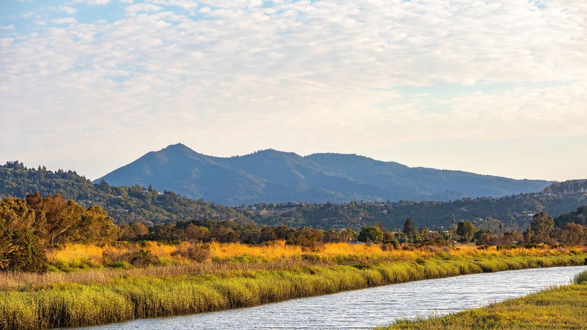 Best Travel Sweepstakes in Chula Vista, CA: 2026 Local Guide