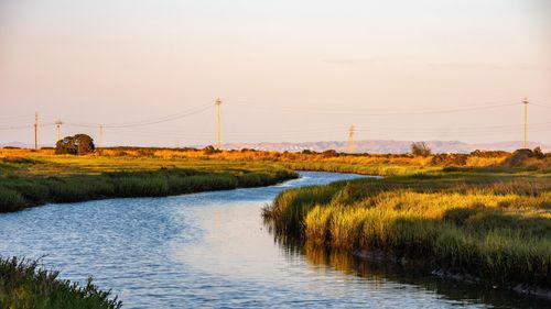 Free A tranquil river winding through the countryside during sunset, highlighting golden grasses. Stock Photo