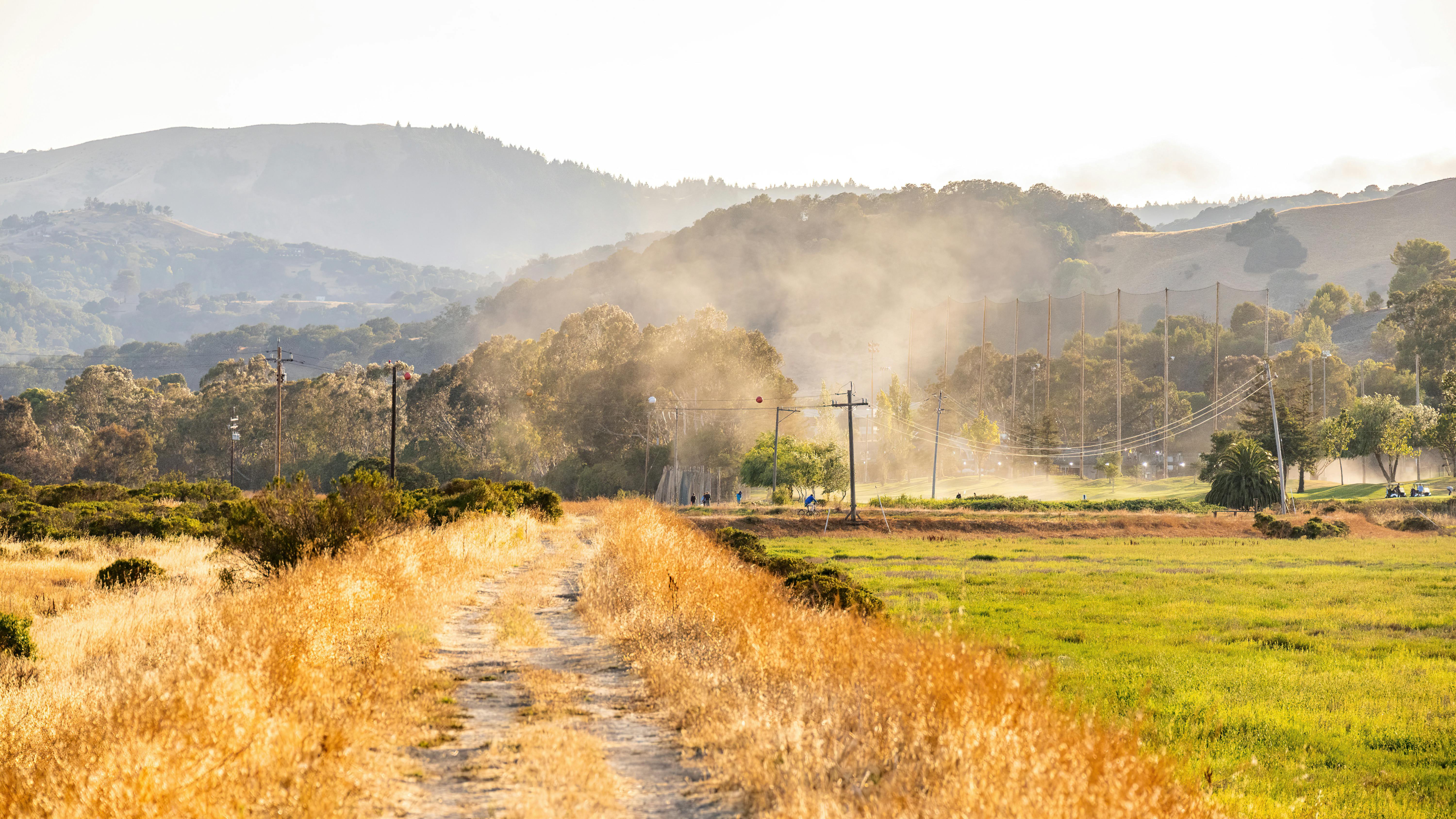 2025 Silicon Valley 150 Corporate Governance Report — Photo by Robert So on Pexels
