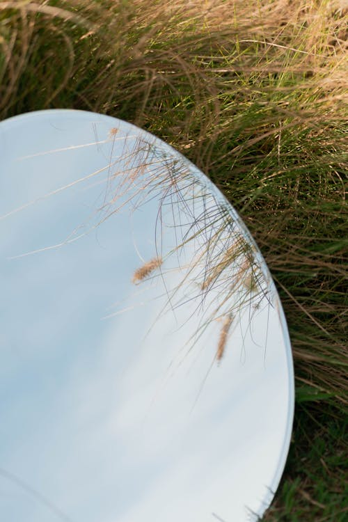 Základová fotografie zdarma na téma hřiště, tráva, vertikální záběr