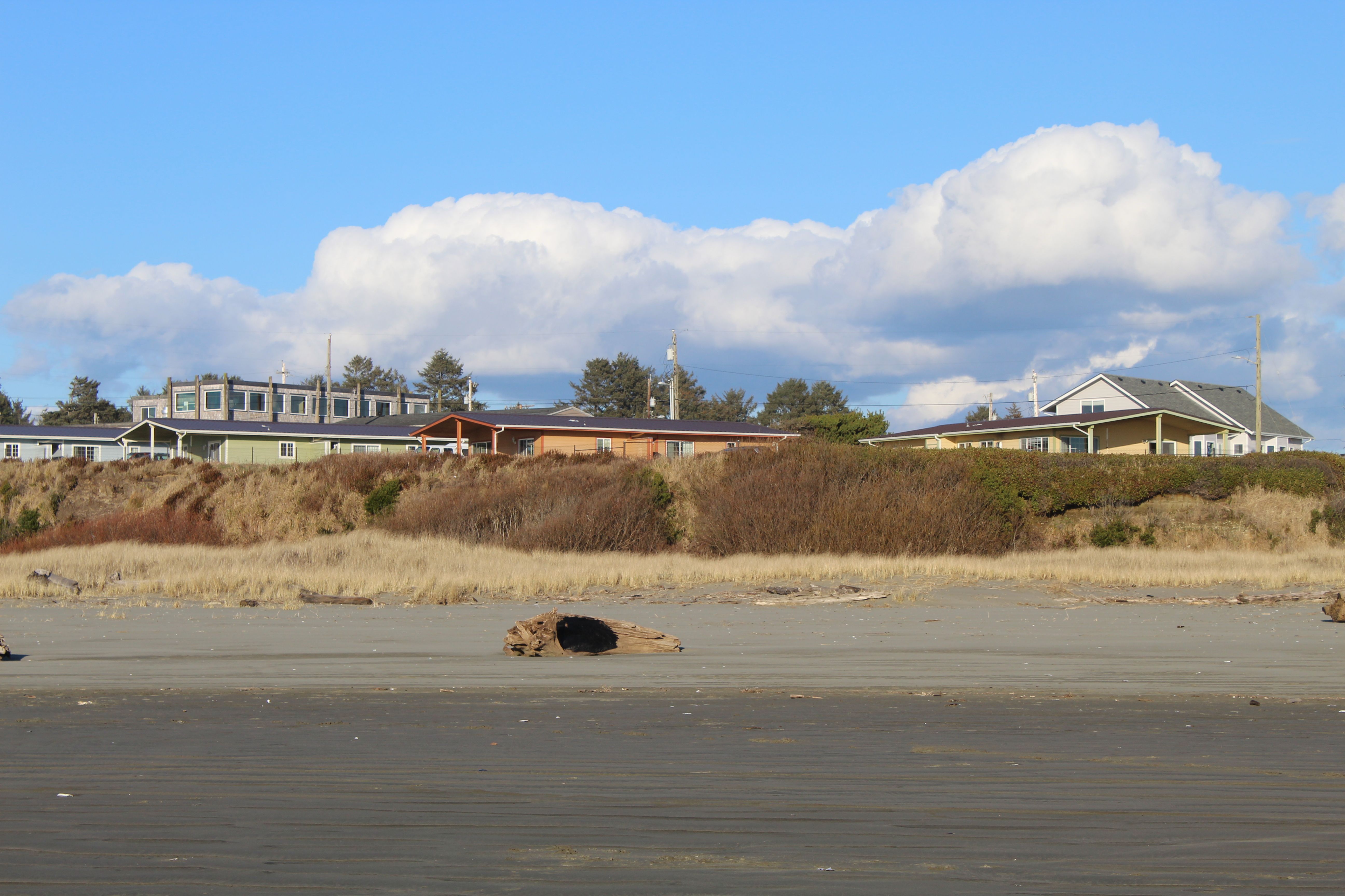 Charming coastal homes with scenic beach and blue sky in Oregon.