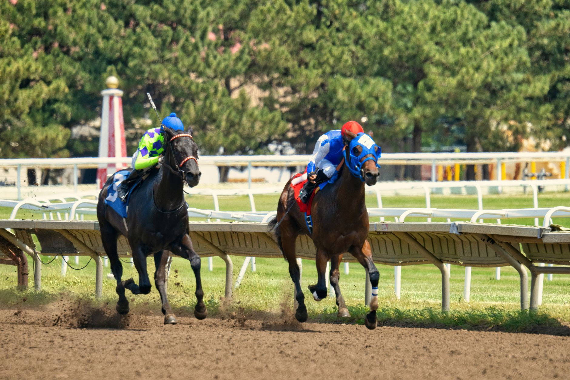 Exciting horse race with jockeys competing on a sunny day in Shakopee, MN.