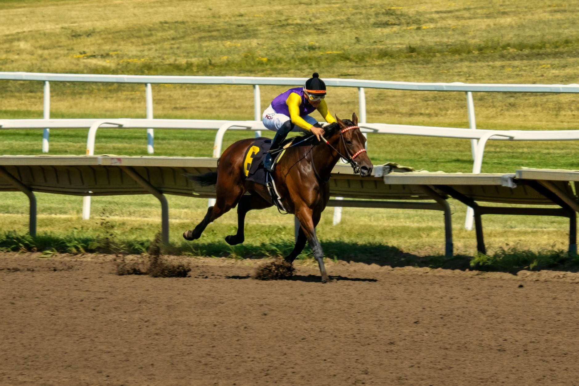 Dynamic shot of a horse race in Shakopee, MN, showcasing speed and competition