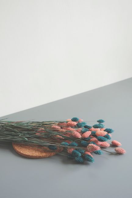 Aesthetic pastel colored dried flowers on a minimalist gray surface create a serene and artistic composition.