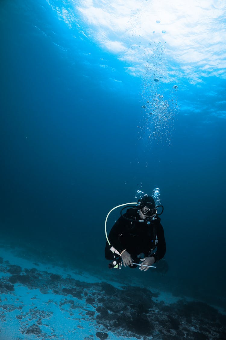 Person In Black Wetsuit Diving Underwater