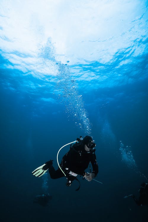 冒险家, 垂直拍摄, 水下摄影 的 免费素材图片