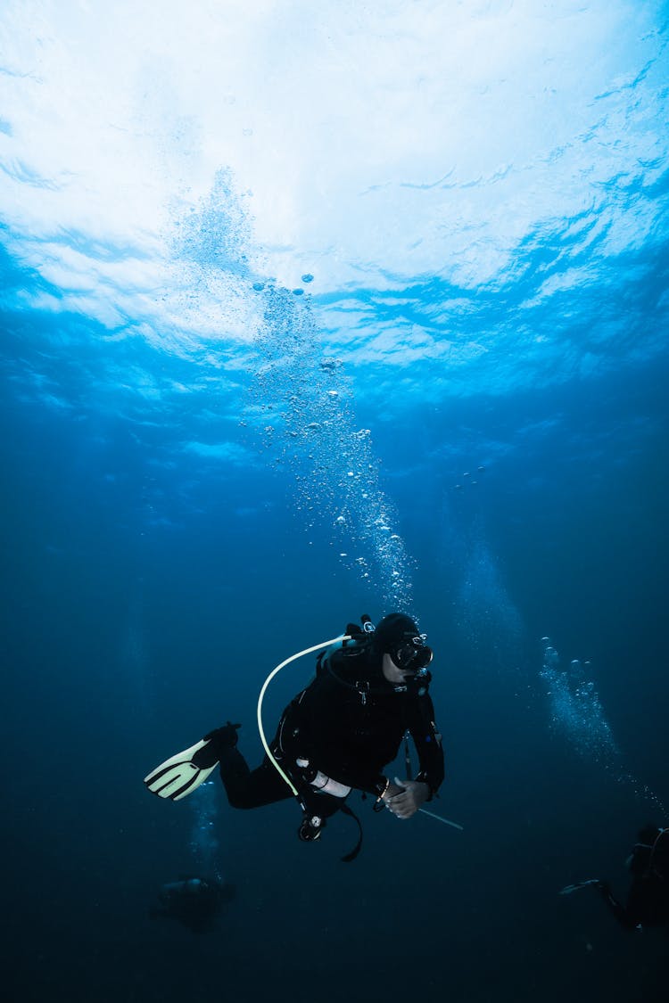 Person In Black Wetsuit Swimming Underwater