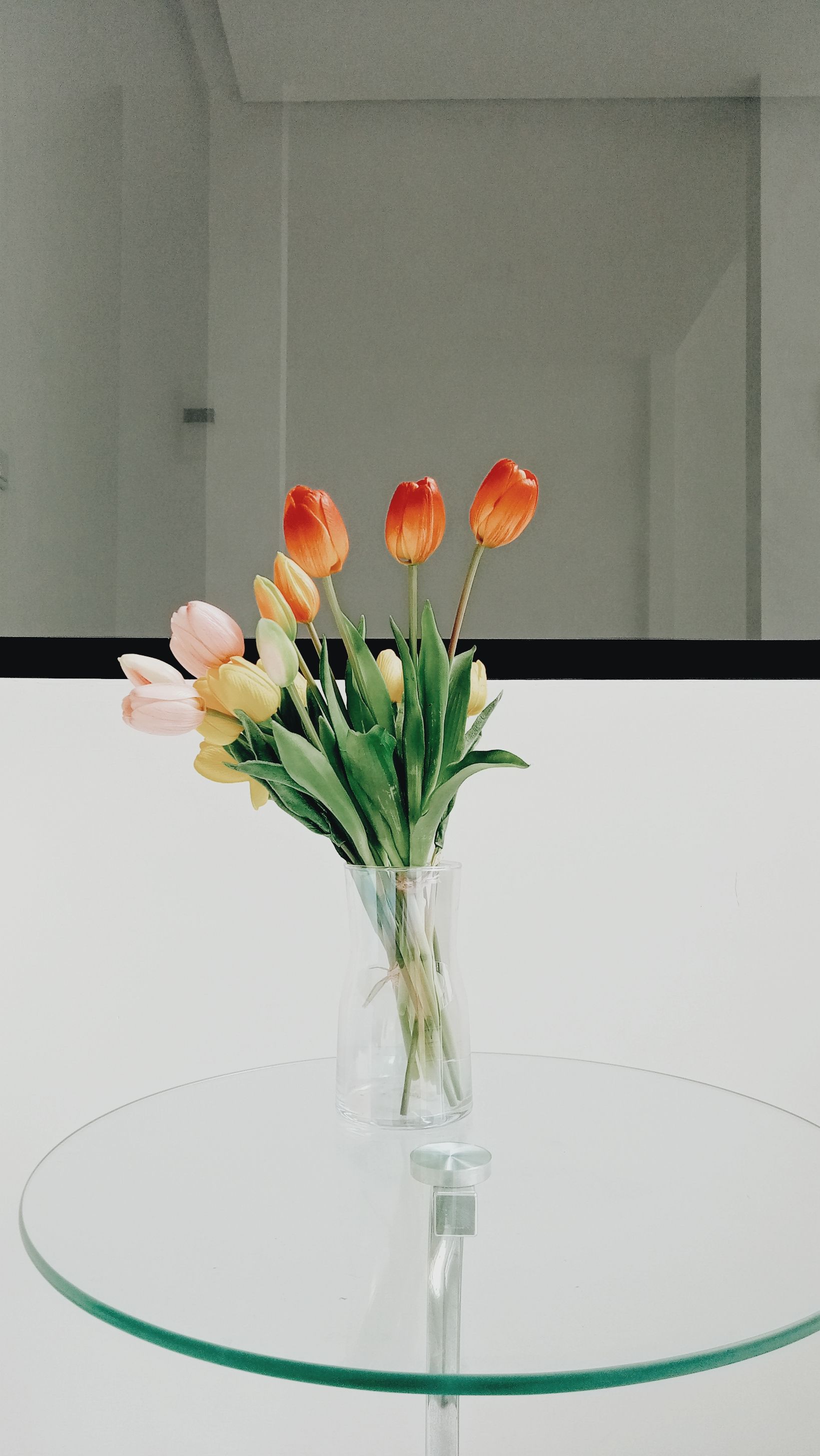A Vase of Colorful Tulips on a Glass Table · Free Stock Photo