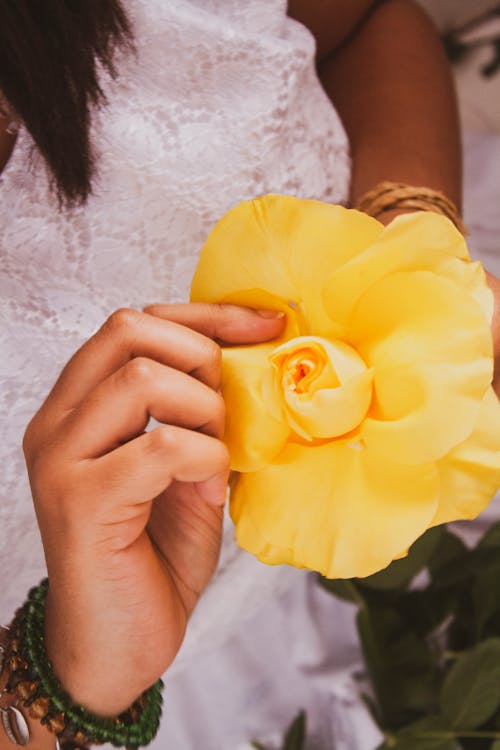 Close-Up Shot of a Person Holding a Blooming Yellow Rose