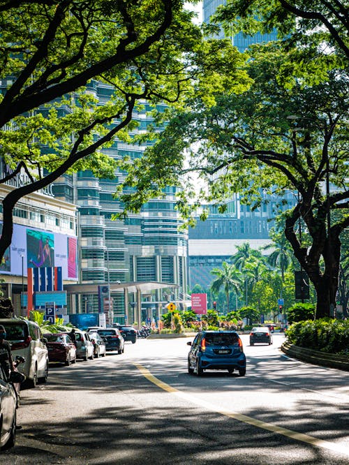 Cars on the City
 Road