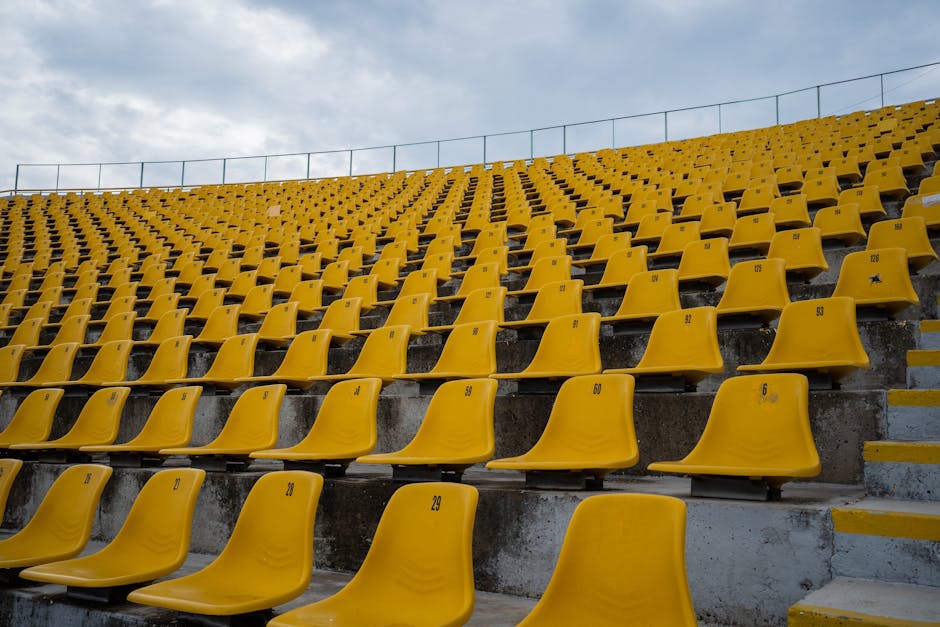 A fan view of the pitch at St Mary's Stadium, illustrating typical Championship match day costs.