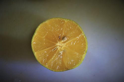 Free Lemon fruit Slice Stock Photo