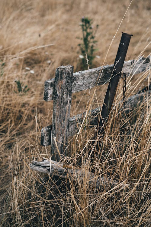 A Wooden Fence on the Brown Grass