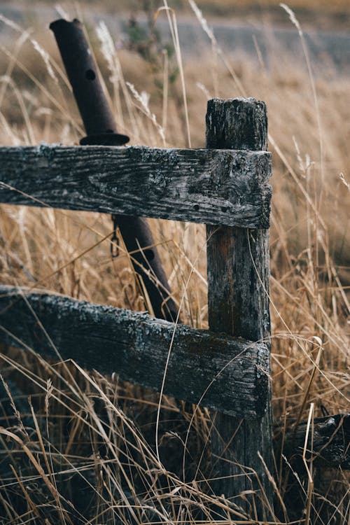 A Wooden Fence on the Brown Grass