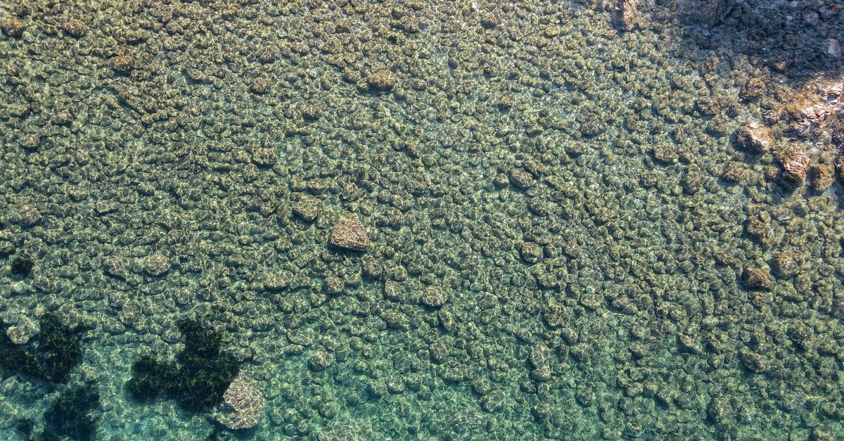 Los 10 lugares más profundos jamás alcanzados por el ser humano Los 10 lugares más profundos jamás alcanzados por el ser humano