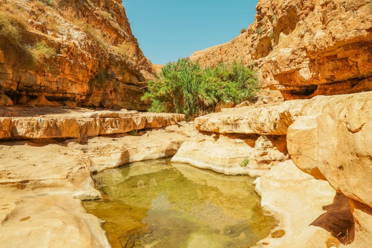 Spring And Rock Formations