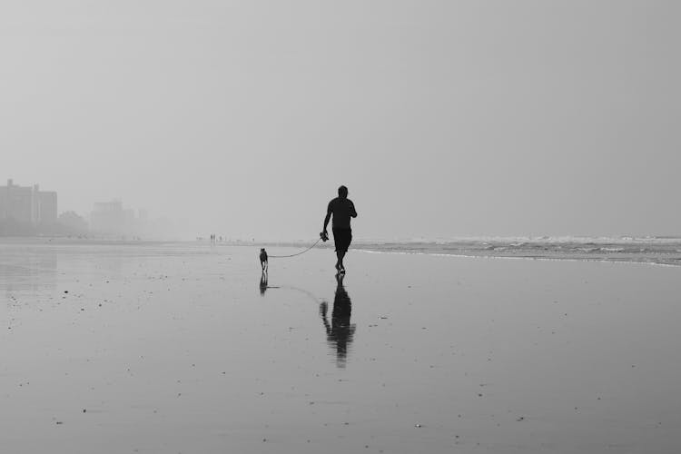 Silhouette Of A Man Walking On Shore With A Dog