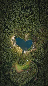 A stunning aerial shot showcasing a heart-shaped pond surrounded by lush green forest.