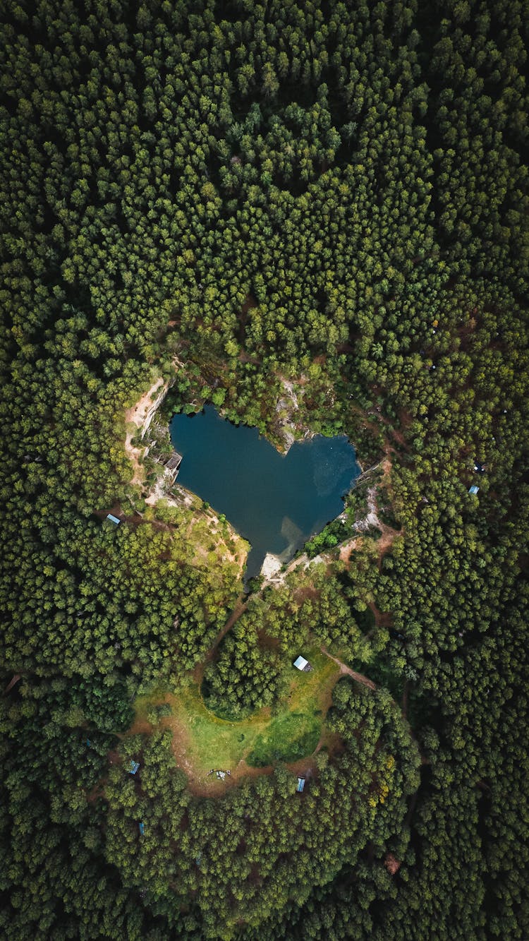 Aerial View Of A Forest With A Heart Shape Pond