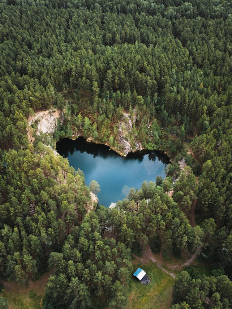 Aerial View Of A Forest With A Heart Shape Pond