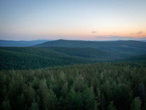 Free Aerial view of lush green forests covering rolling hills under a twilight sky. Stock Photo