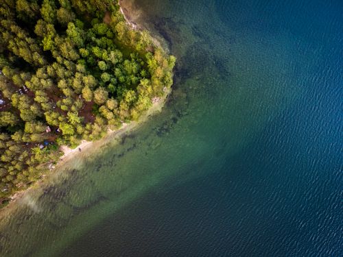 Free Drone shot of a lush forest meeting a serene, clear lake shore. Stock Photo