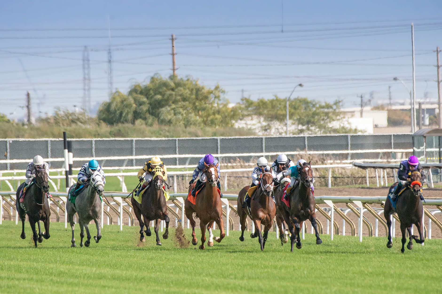 Dynamic horse racing scene showcasing competitive equestrians and galloping horses.