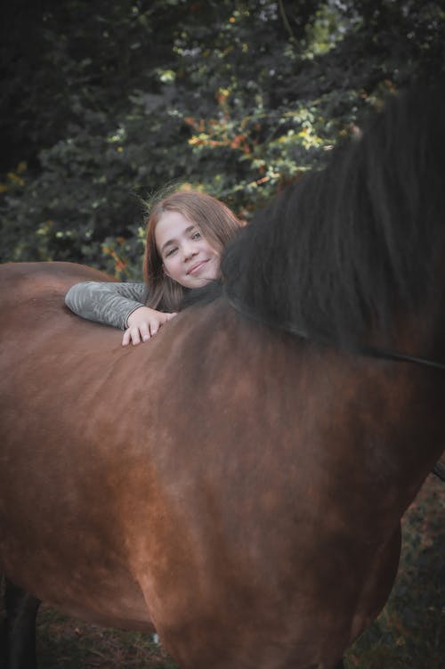 Immagine gratuita di abbracciando, cavallo marrone, donna