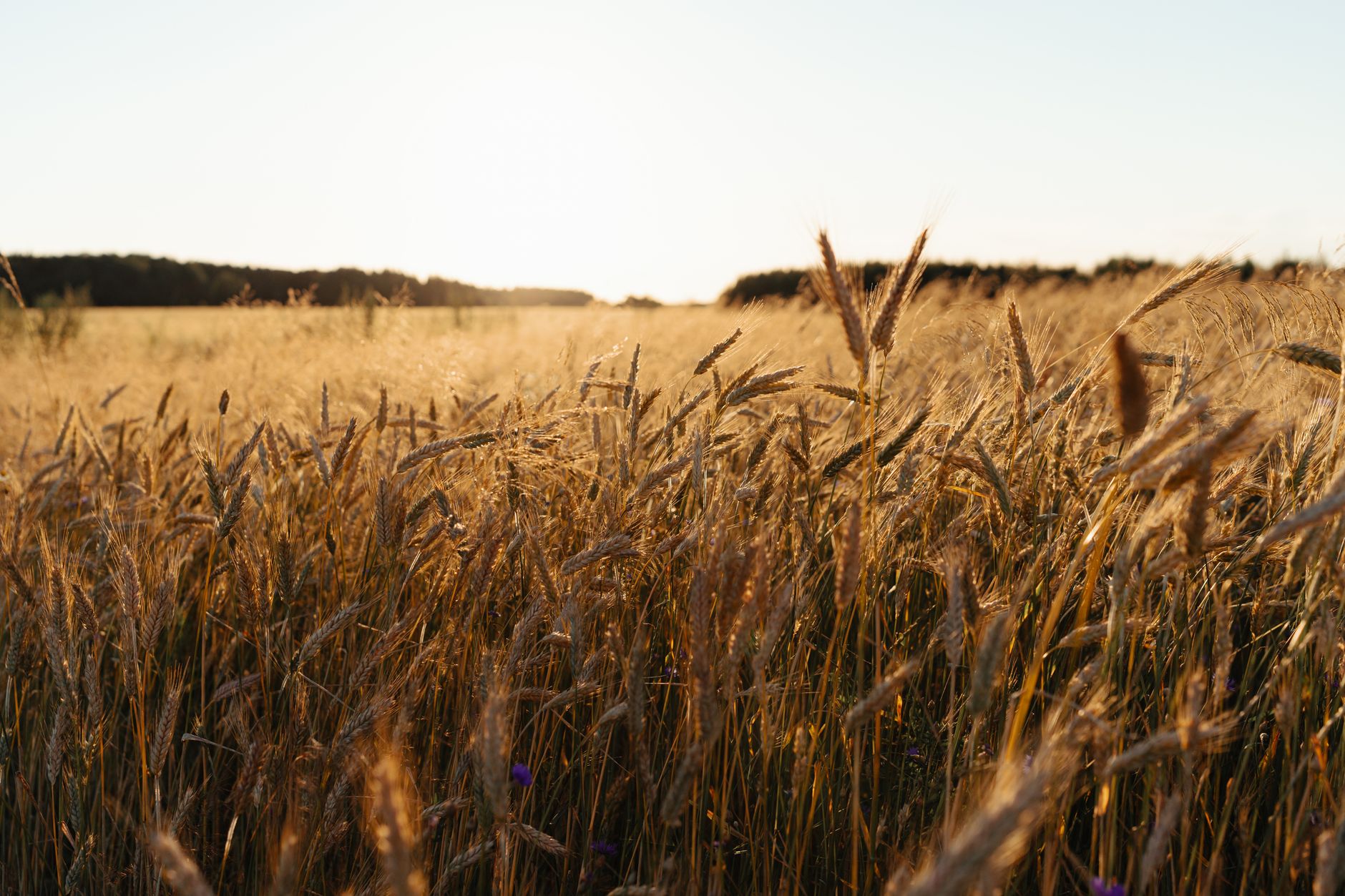 Bible Verses About God's Love, Faithfulness and Timing
