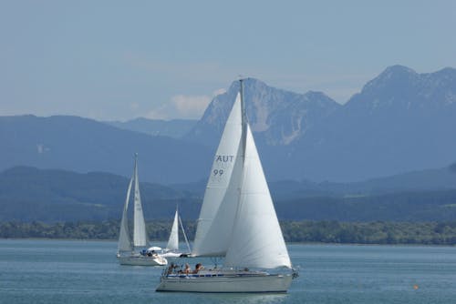 White Sail Boats on Sea